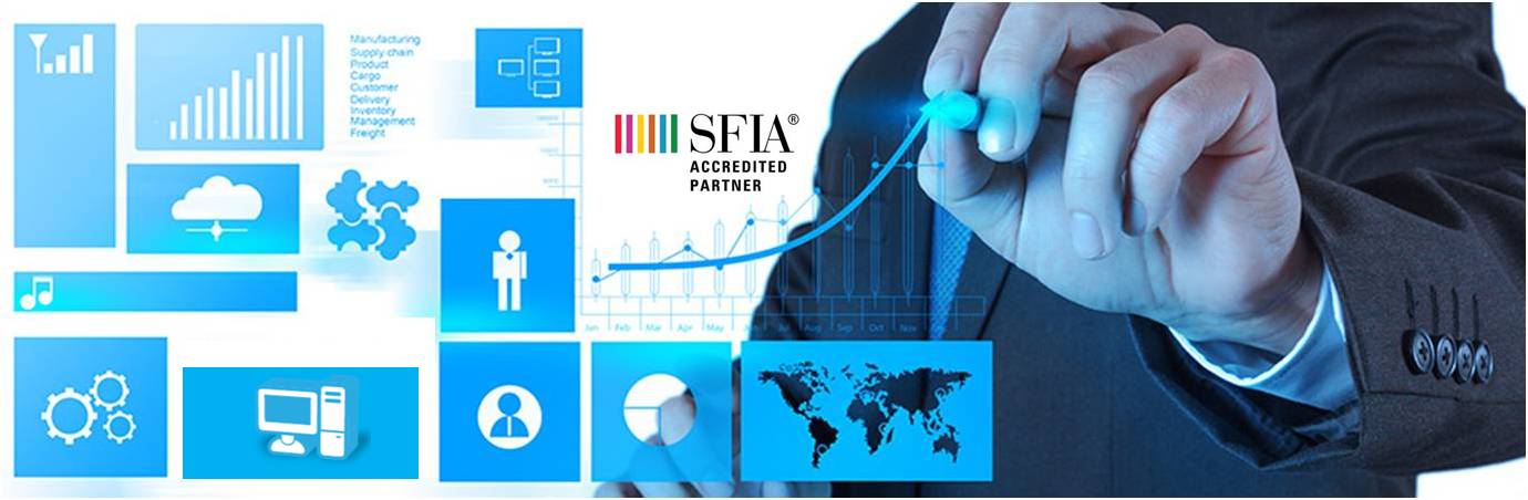 SFIA-Services-image - Validate Skills